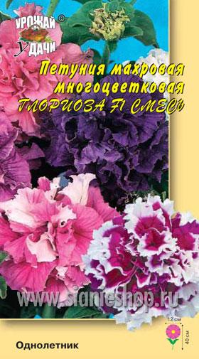 Семена цветов - петуния махр. глориоза f1