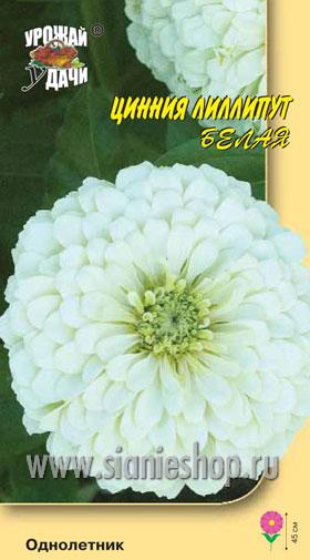Семена цветов - цинния лиллипут белая