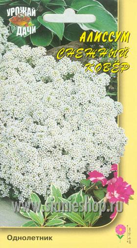 Семена цветов - алиссум снежный ковер