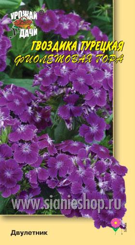 Семена цветов - гвоздика турецкая фиолетовая гора