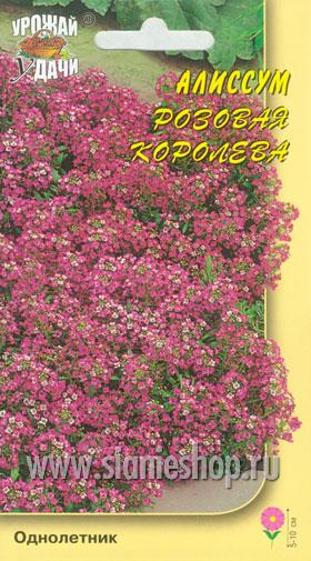 Семена цветов - алиссум розовая королева