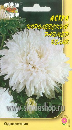 Семена цветов - астра королевс.размер белая