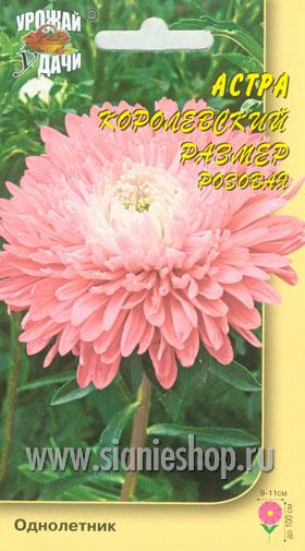 Семена цветов - астра королевс.размер розовая