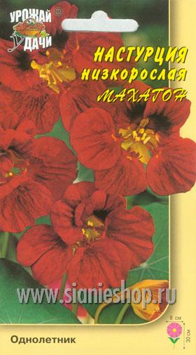 Семена цветов - настурция куст. махагон