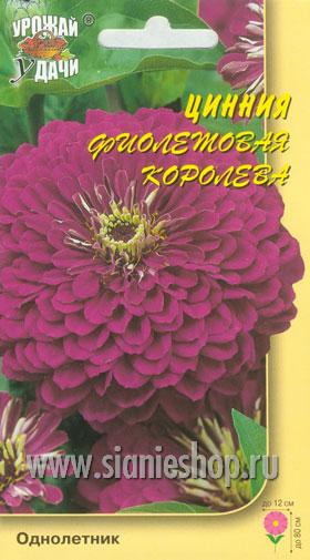 Семена цветов - цинния георгин. фиолетовая королева