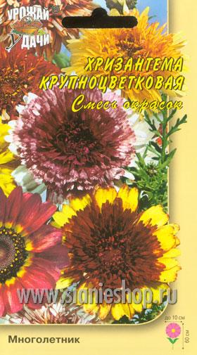 Семена цветов - хризантема мн. крупноцветковая смесь