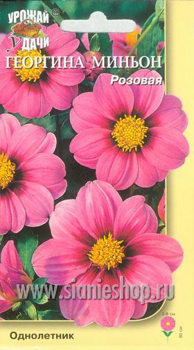 Семена цветов - георгина миньон розовая