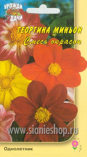 Семена цветов - георгина миньон смесь окрасок