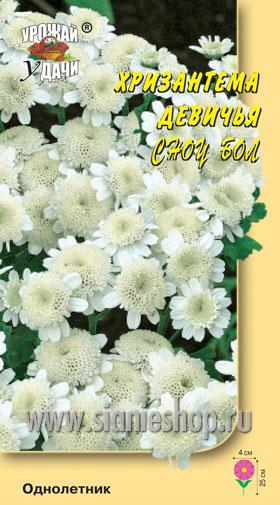 Семена цветов - хризантема девичья сноу бол