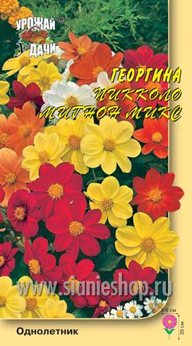Семена цветов - георгина пикколо мигнон микс
