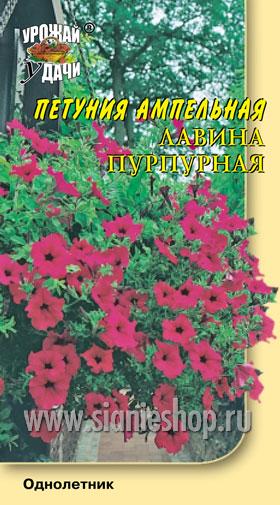Семена цветов - петуния амп. лавина пурпурная
