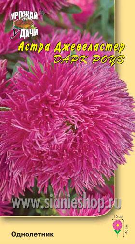 Семена цветов - астра джевеластер дарк роуз