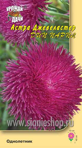 Семена цветов - астра джевеластер дип парпл